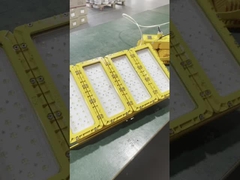 WF2 IP66 Luz LED a prueba de explosión con sombra de vidrio convexa e impermeable