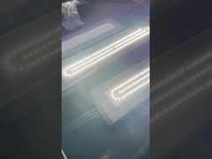 IP66 ATEX Luz lineal a prueba de explosión para la industria 50w 100w 200w