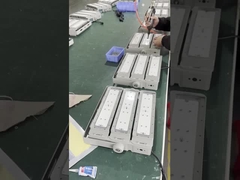 Lámparas de luz de la calle LED de 100 V