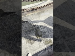 AC85-310V/AC100-277V 130-140LM/W Luz de calle exterior LED para jardín de carretera, plaza