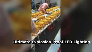 Proyector LED resistente al agua IP65 con vidrio templado y aprobación ATEX para áreas peligrosas