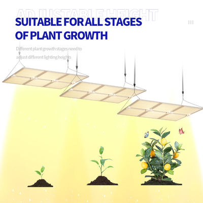 Luz de crecimiento LED de espectro completo de 600W con función atenuable para un crecimiento óptimo de las plantas