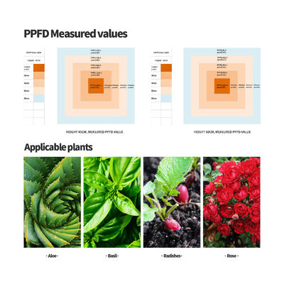 Luz de crecimiento LED de espectro completo de 600W con función atenuable para un crecimiento óptimo de las plantas
