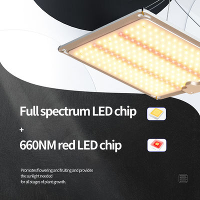 Luz de crecimiento LED de espectro completo de 600W con función atenuable para un crecimiento óptimo de las plantas