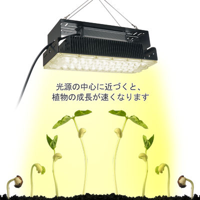 Luz de cultivo LED de espectro completo de 100W con LEDs SMD3030 para plantas de interior y jardines