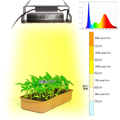 Luz de cultivo LED de espectro completo de 100W con LEDs SMD3030 para plantas de interior y jardines