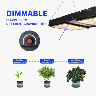 Luz de crecimiento LED de espectro completo de 500W con base E27 para plantas de interior y uso comercial