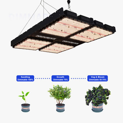 Luz LED de cultivo de espectro completo de 1000W regulable para plantas de interior con control de temporizador