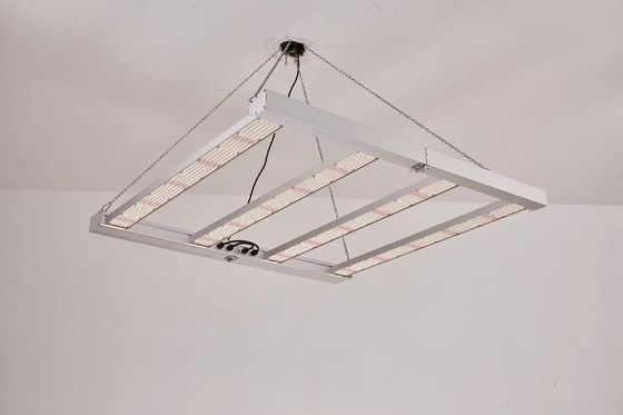Luz de cultivo LED de espectro completo plegable de 600W para el cultivo comercial de plantas
