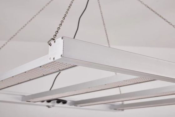 Luz de crecimiento LED de espectro completo de 800W con IP65 a prueba de agua para el crecimiento de plantas comerciales