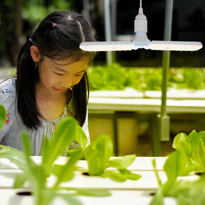 Luz de cultivo LED compacta con espectro completo + 660nm e IP68 a prueba de agua para el crecimiento de plantas de interior