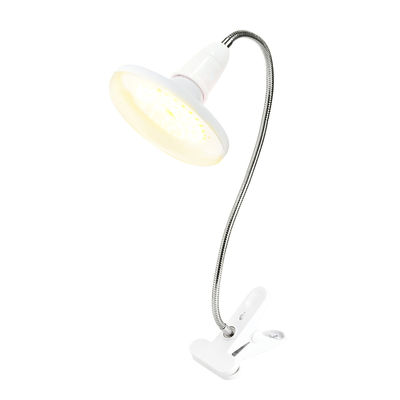 Luz de crecimiento LED de espectro completo de 10W 20W con IP67 a prueba de agua para todas las etapas de crecimiento de las plantas