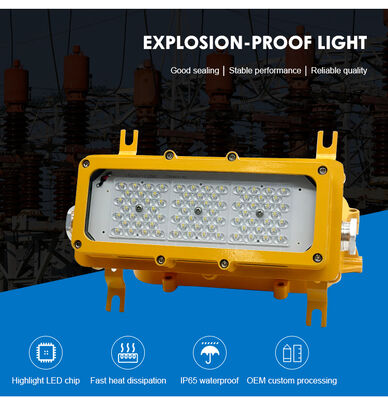 Ip65 Atex Luz de inundación a prueba de explosión 50w Luz de inundación a prueba de explosión