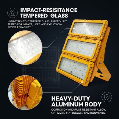 Lámpara LED Antiexplosiva de 300W y Larga Vida Útil de 50000H, Haz de 30 60 90 Grados, LUMILEDS LM-80, ATEX IIb T6, IP65, Luminaria para Zonas Peligrosas