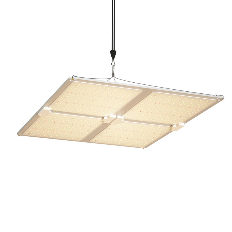 400W de potencia de salida de espectro completo LED de crecimiento de luz con altura ajustable para el crecimiento de las plantas de interior