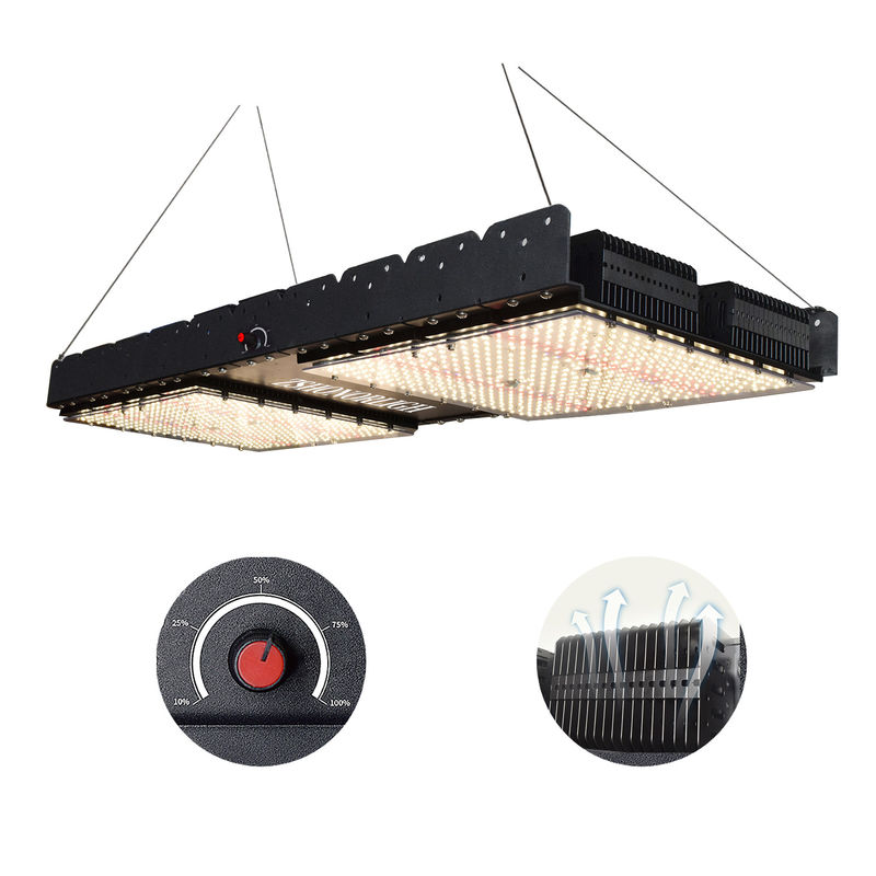 Luz de crecimiento LED de espectro completo de 500W con base E27 para plantas de interior y uso comercial