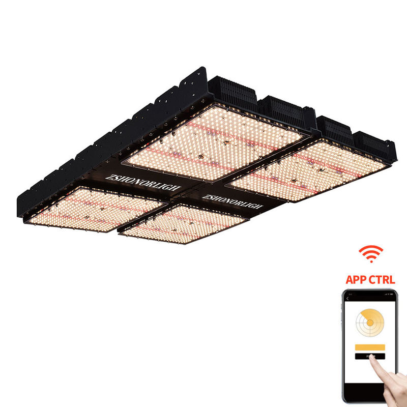Luz LED de cultivo de espectro completo de 1000W regulable para plantas de interior con control de temporizador