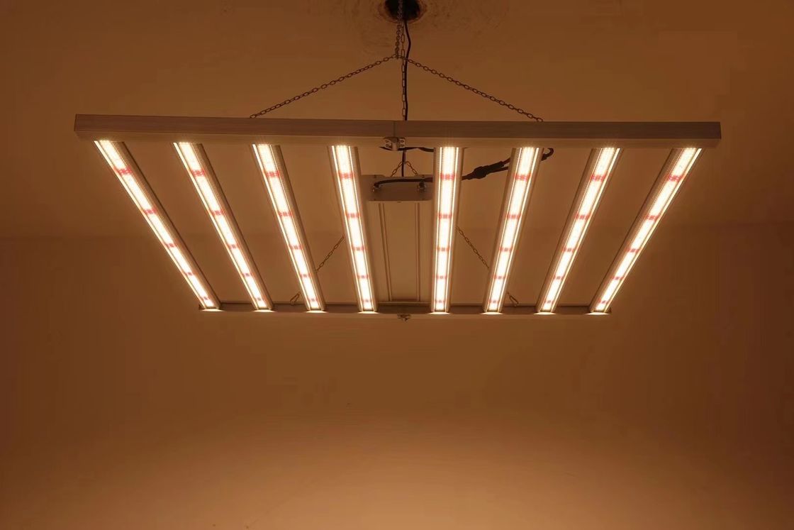 Lámparas plegables de cultivo de invernadero de 8T 800W 1000w Hps
