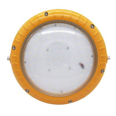 ODM Instalaciones de ubicación peligrosa Luces LED Antibrillo