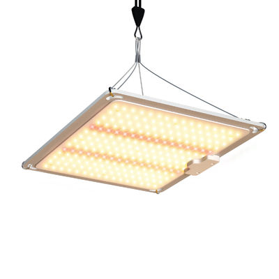 600w HPS 4x4 Grow Light Plant Lamp Promueve la floración y la fructificación
