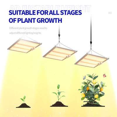 600w HPS 4x4 Grow Light Plant Lamp Promueve la floración y la fructificación