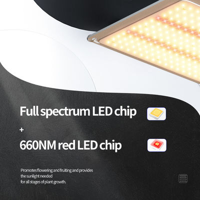 Sistema de iluminación de invernadero de 200w LED T5 de luces de crecimiento