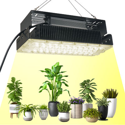 100w interior 5x5 luz de crecimiento para plantas de jardín de interior SMD3030