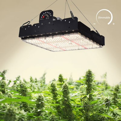 Luz de crecimiento LED de espectro completo T5 para plantas de interior 250w