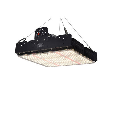 Luz de crecimiento LED de espectro completo T5 para plantas de interior 250w