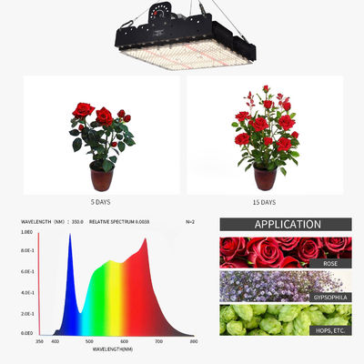 Luz de crecimiento LED de espectro completo T5 para plantas de interior 250w