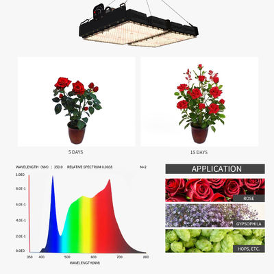 Lámparas de luz de crecimiento LED de lectura PPFD para plantas de interior