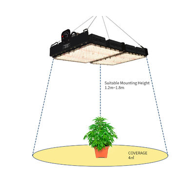 Lámparas de luz de crecimiento LED de lectura PPFD para plantas de interior