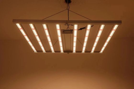 Lámparas plegables de cultivo de invernadero de 8T 800W 1000w Hps