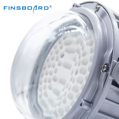 Lámpara de alta calidad Ip65 Estación de gasolina impermeable 50w 100w 150w Luz de plataforma a prueba de explosión