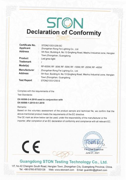 China Zhongshan Rong Fei Lighting Co., Ltd certificaciones