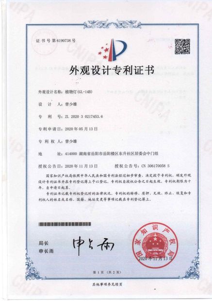 China Zhongshan Rong Fei Lighting Co., Ltd certificaciones
